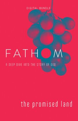 Picture of Fathom Bible Studies: The Promised Land Digital Bundle (Joshua-Judges)