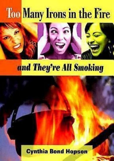 Picture of Too Many Irons in the Fire  [ePub] - eBook [ePub]