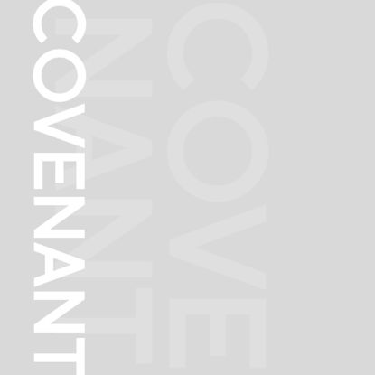 Picture of Covenant: Isaiah and Amos Video