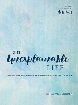 Picture of An Unexplainable Life - eBook [ePub]