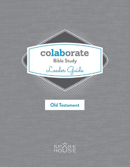 Picture of Colaborate Bible Study  Leader Guide Old Testament