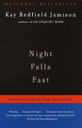 Picture of Night Falls Fast