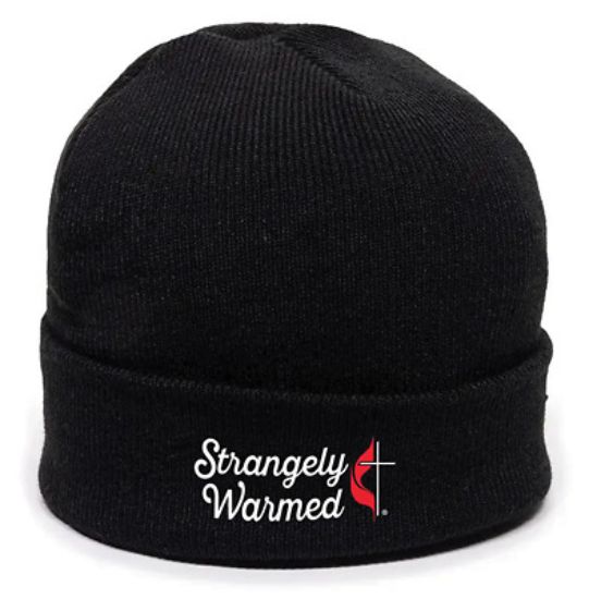Picture of Strangely Warmed Beanie