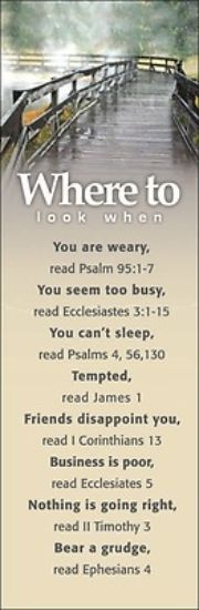 Picture of Where to Look Topics #3 Bookmark